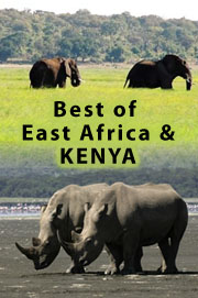 Tours and Safaris in Kenya