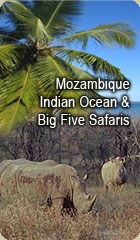 Tours and Safaris to Mozambique