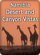 Tours and Safaris in Namibia