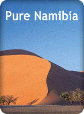 Tours and Safaris in Namibia
