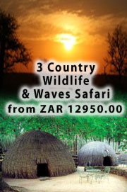 Tours and Safaris through Swaziland