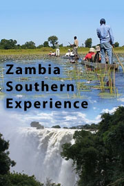 Tours and Safaris in Zambia