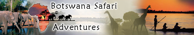 Botswana Safari Adventures