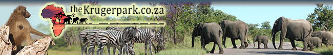 The kruger Park