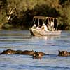 Safaris in Zambia