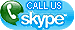 Skype Us!